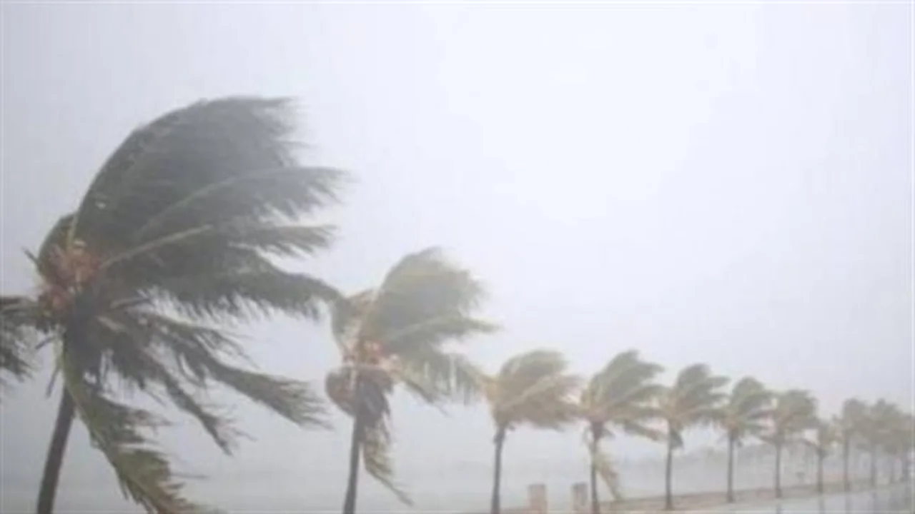 تحذير لمواطني مصر من تقلبات جوية وشبورة مائية كثيفة صباح الأربعاء 25 فبراير